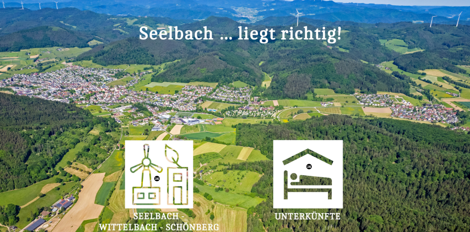 Bild der Startseite des 360°-Rundgangs Seelbach