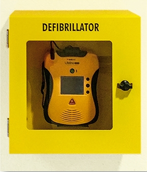 Schaubild eines Defibrillator beieinem Standort